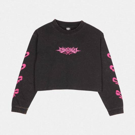 Santa Cruz Evolve Strip L/S T-Shirt Black Wash