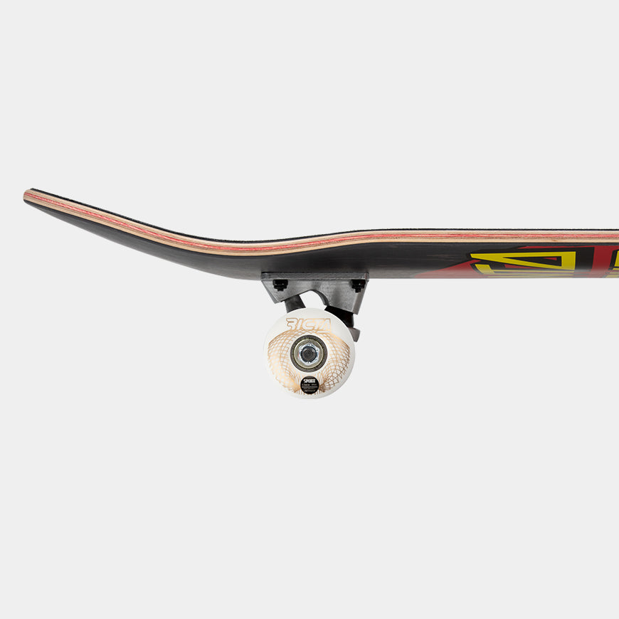 Santa Cruz Build at Home Complete - Classic Dot w Ricta Wheels 8.25in x 31.83in - Black