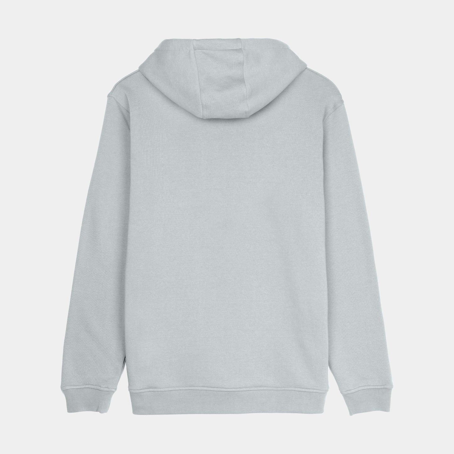 Santa Cruz Screaming Flame Front Hoodie Mist