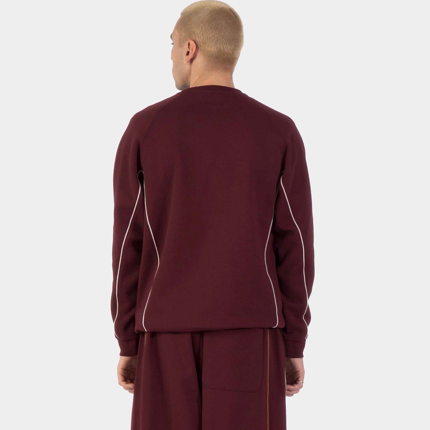 Santa Cruz | Pinstripe Crew Dark Plum
