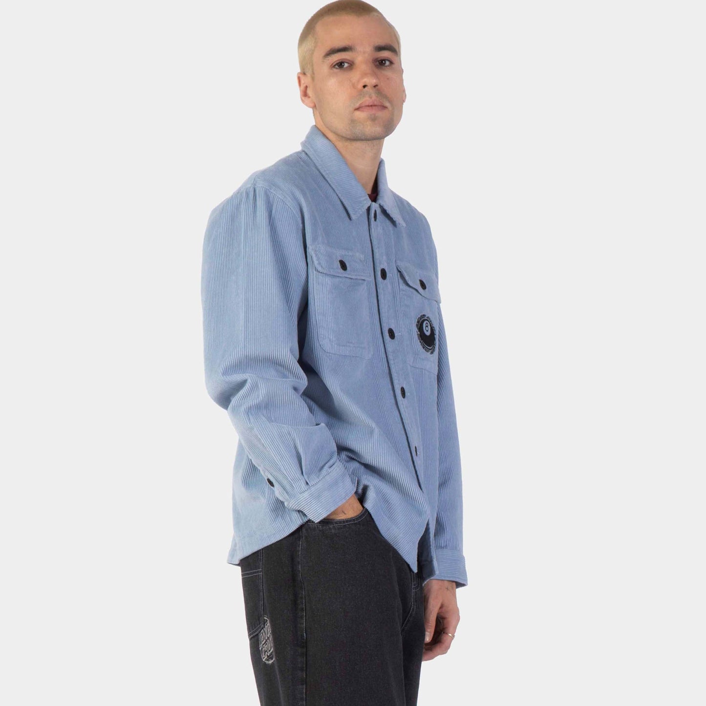 Santa Cruz | Winkowski Hachi Ball Long Sleeve Shirt Ice Blue