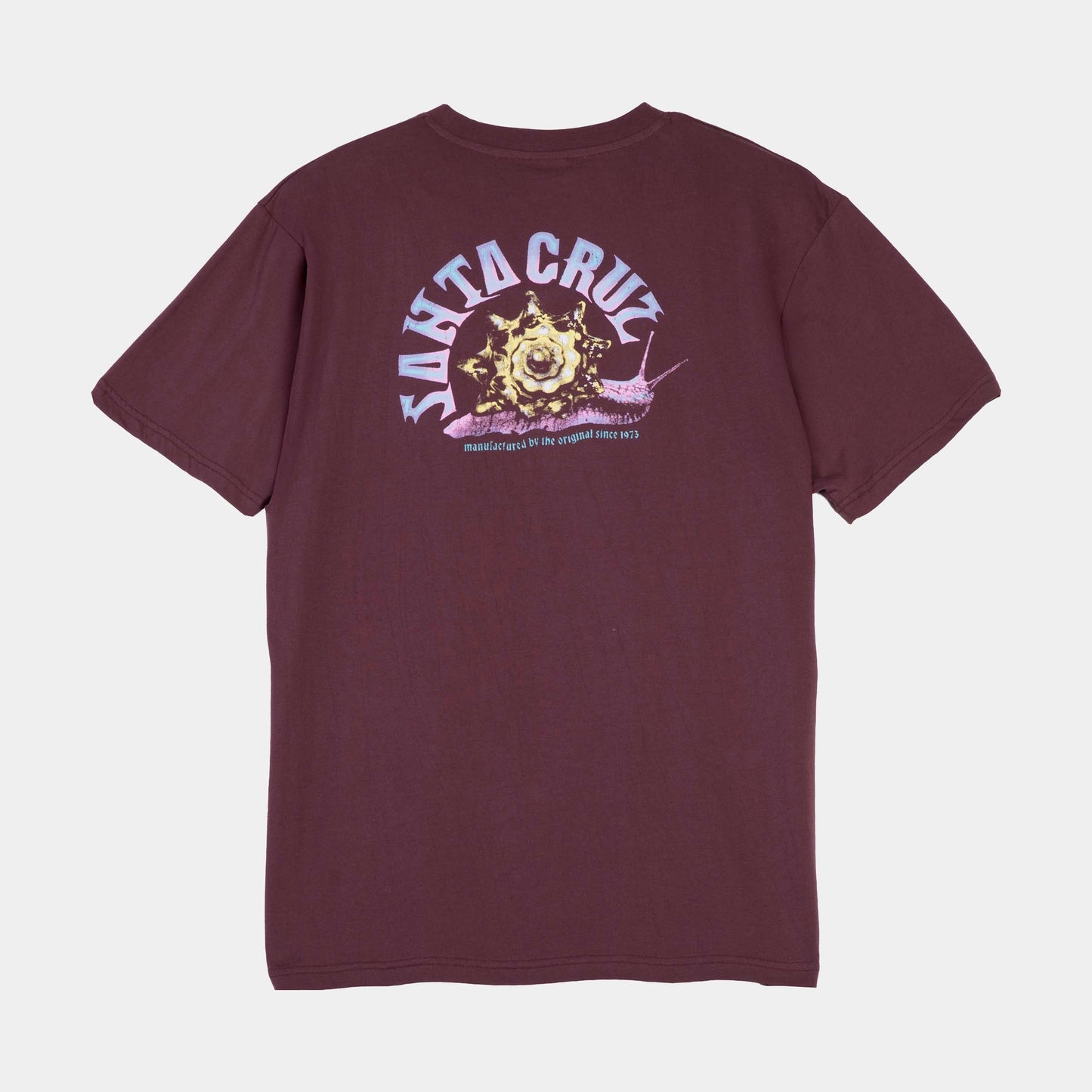 Santa Cruz | Star Snail T Shirt Cocoa Powder