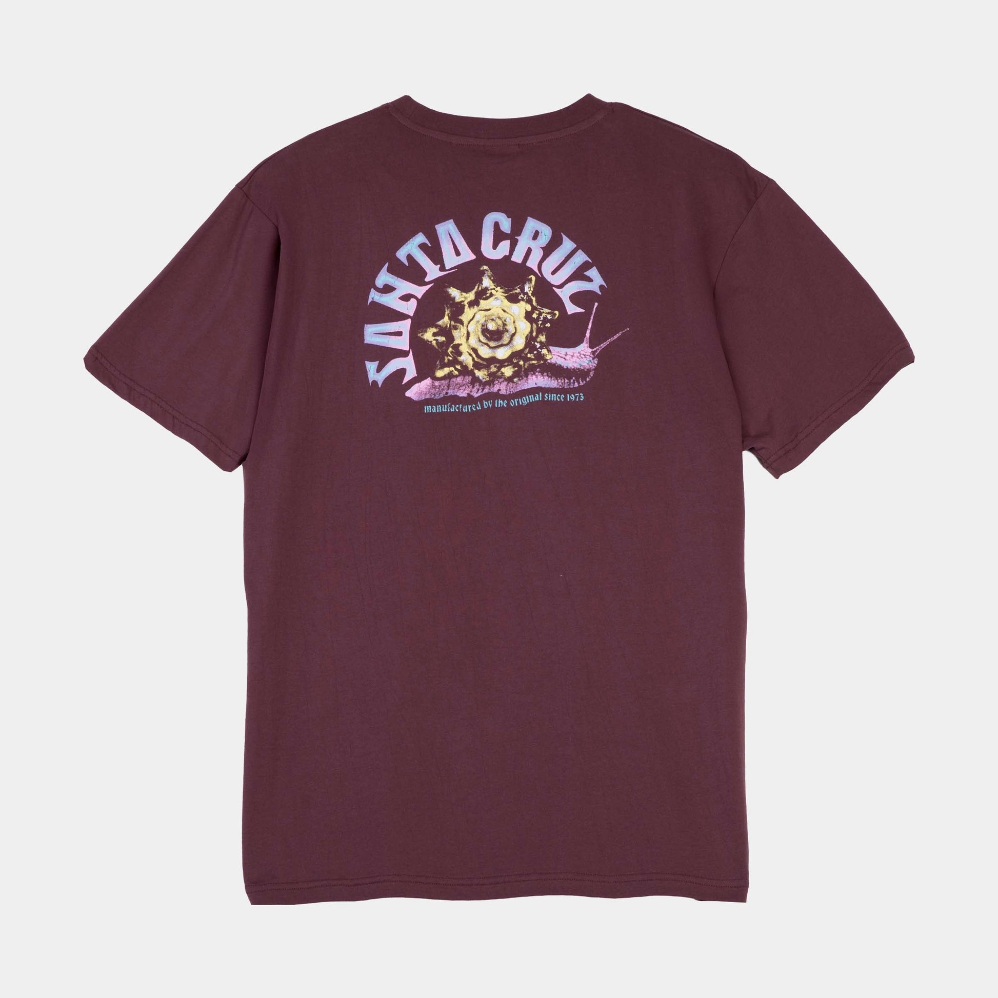 Santa Cruz | Star Snail T Shirt Cocoa Powder