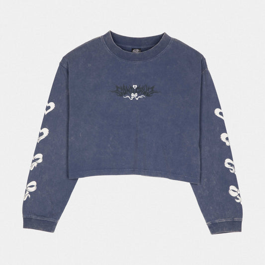 Santa Cruz Evolve Strip L/S T-Shirt Heritage Blue Wash