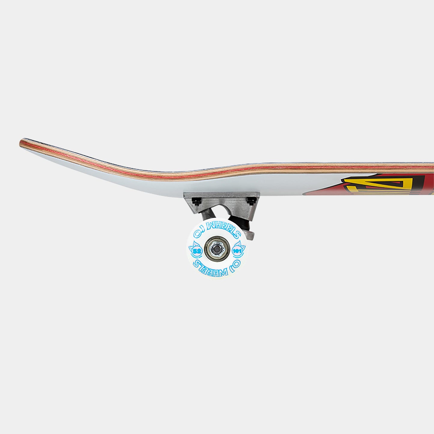 Close-up of a Santa Cruz skateboard truck and wheel on a white background