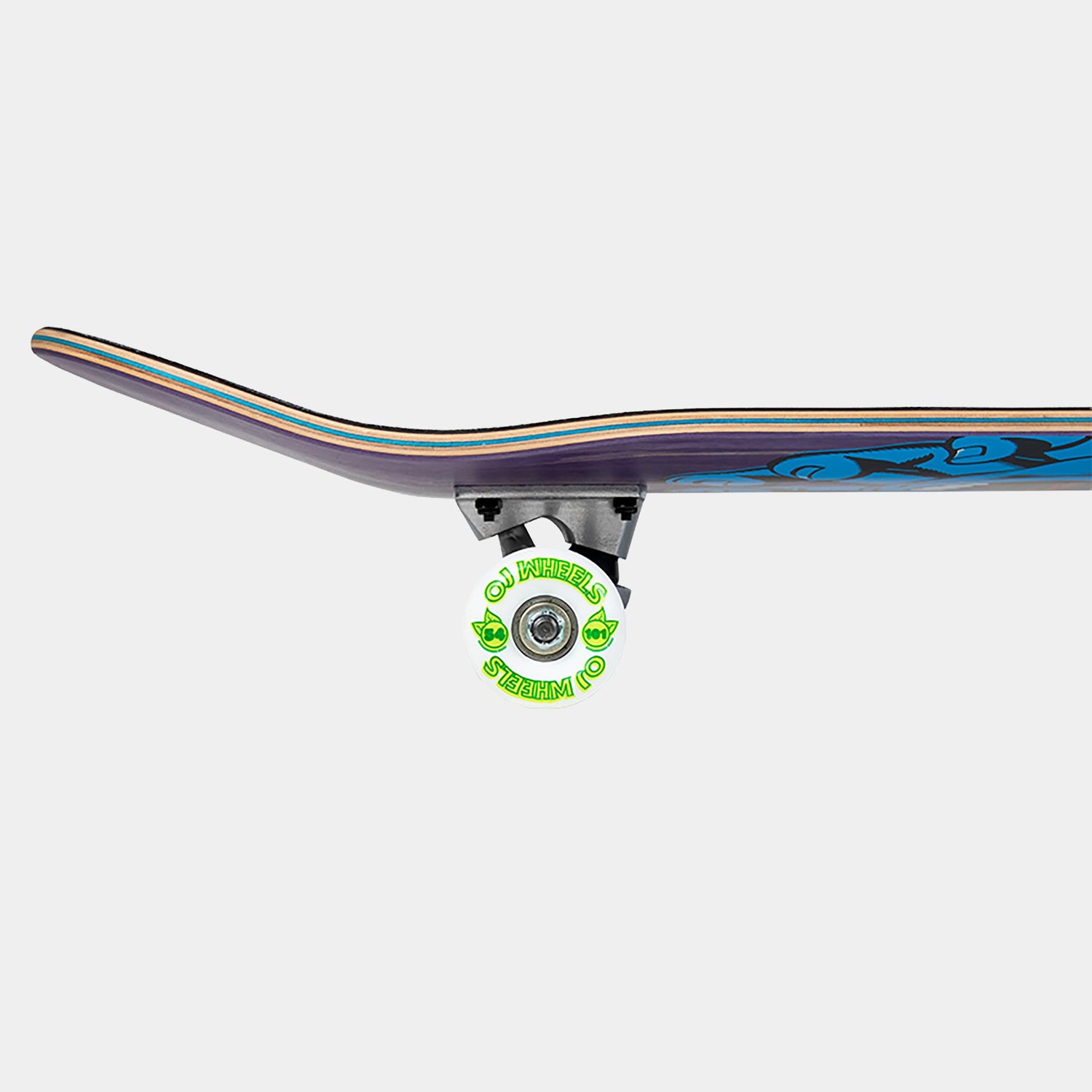 Santa Cruz Skateboard with visible trucks and wheels on a white background