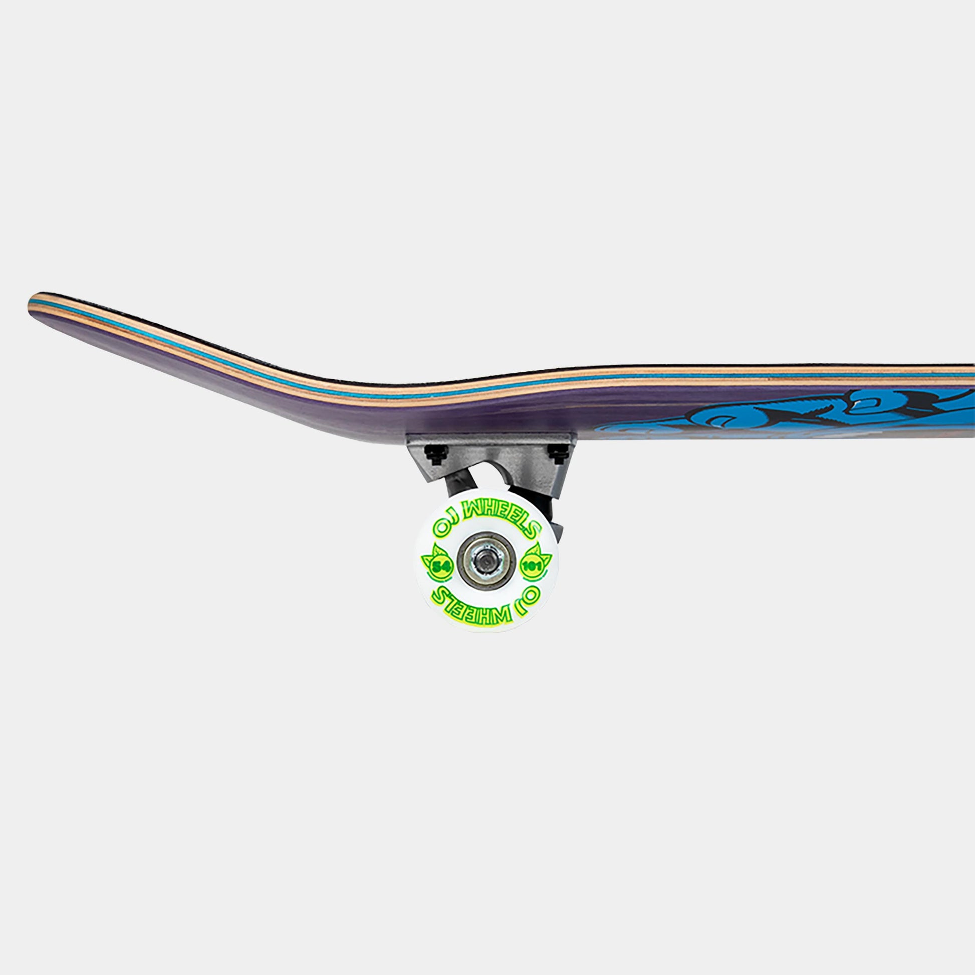 Santa Cruz Skateboard with visible trucks and wheels on a white background