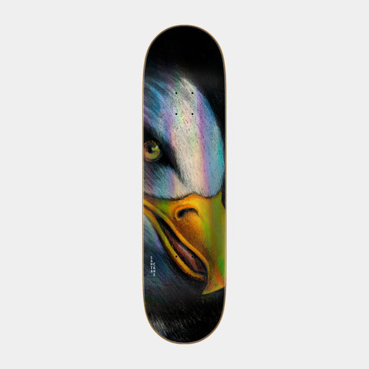 Santa Cruz Skateboards | McCoy Rendered Skateboard Deck 8.25in x 31.83in Multi