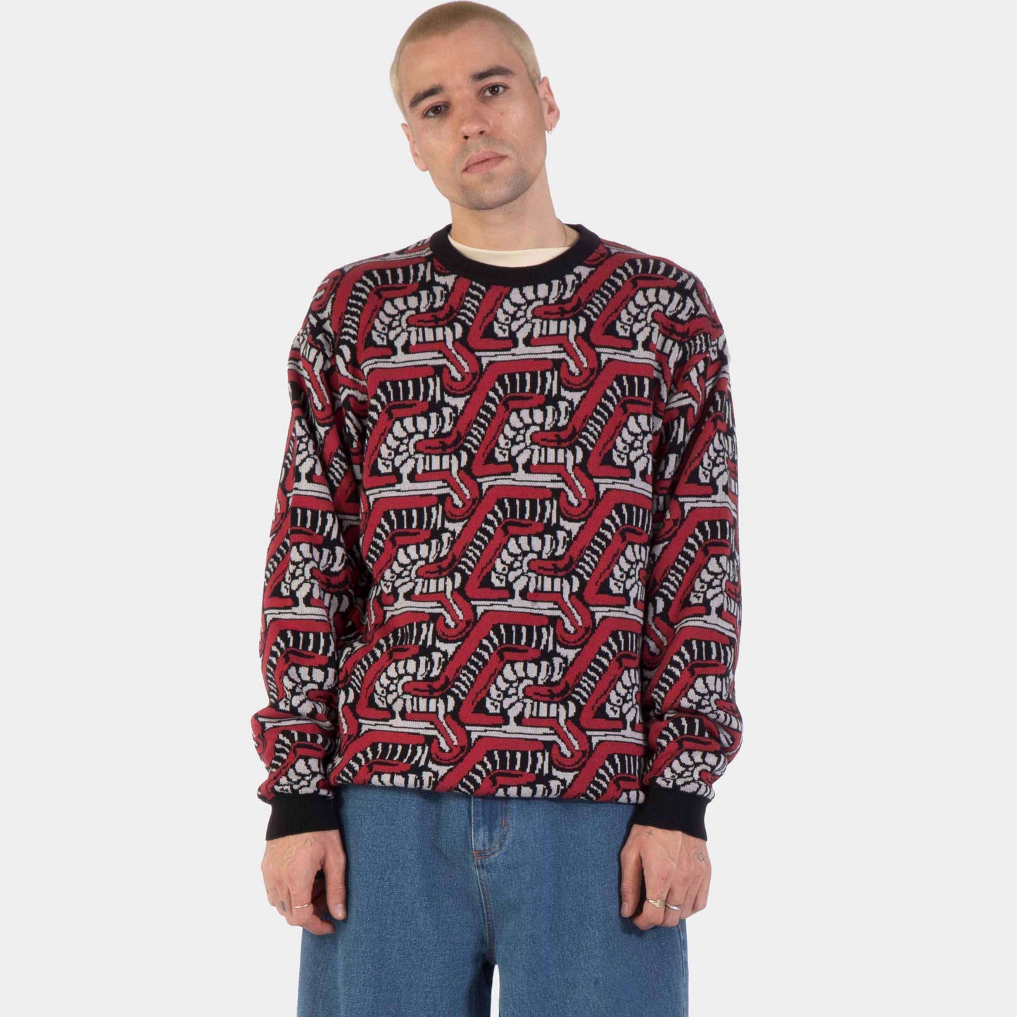 Santa Cruz | Scourge Knit Crew Multi