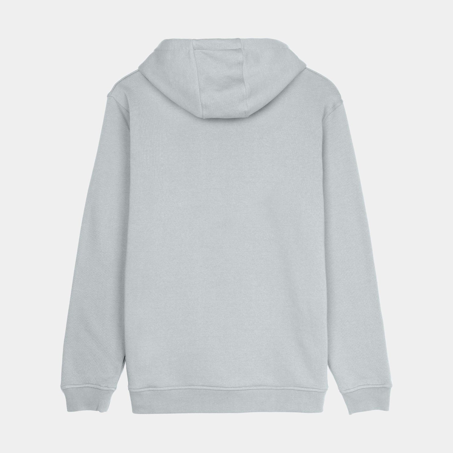 Santa Cruz Screaming Flame Front Hoodie Mist