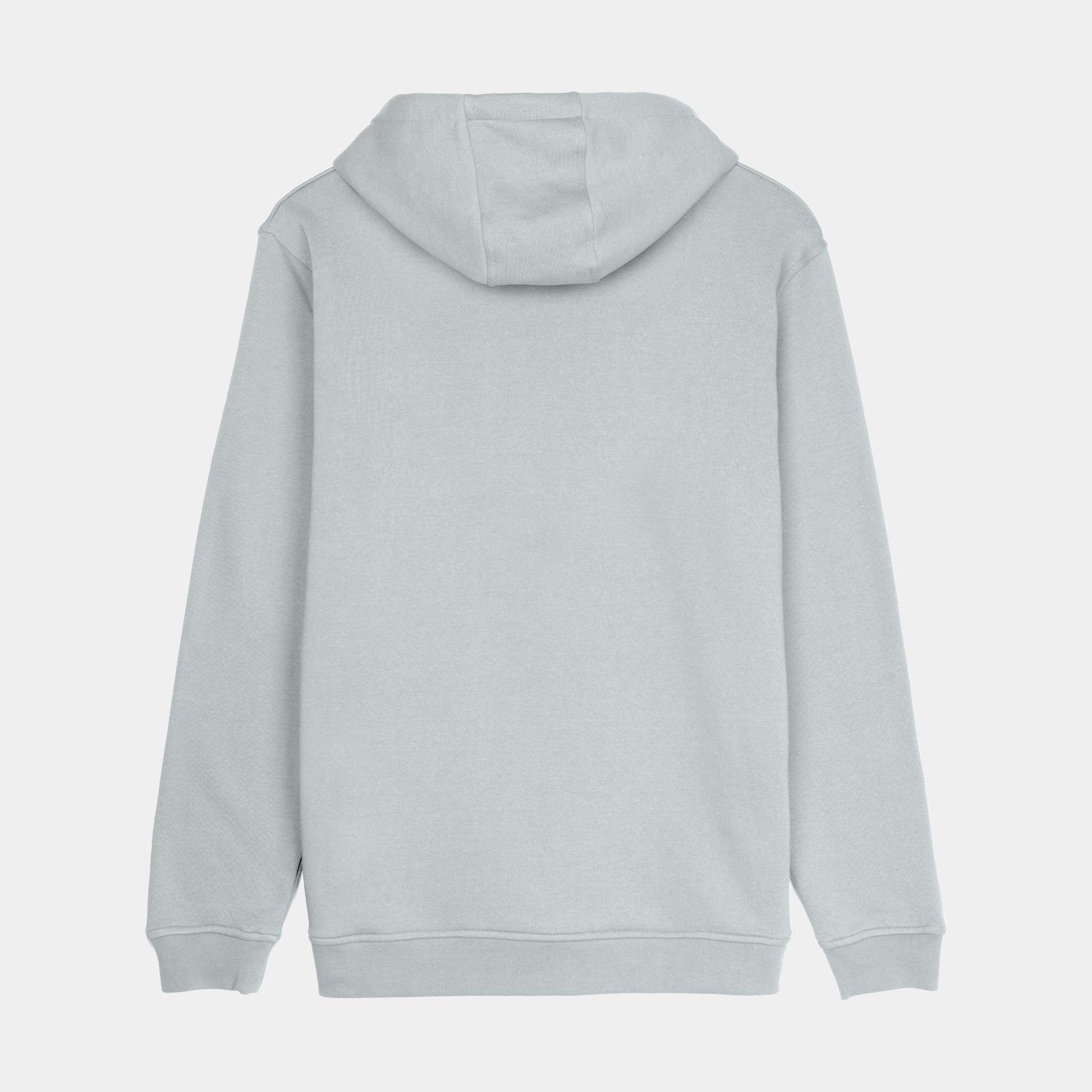 Santa Cruz Screaming Flame Front Hoodie Mist