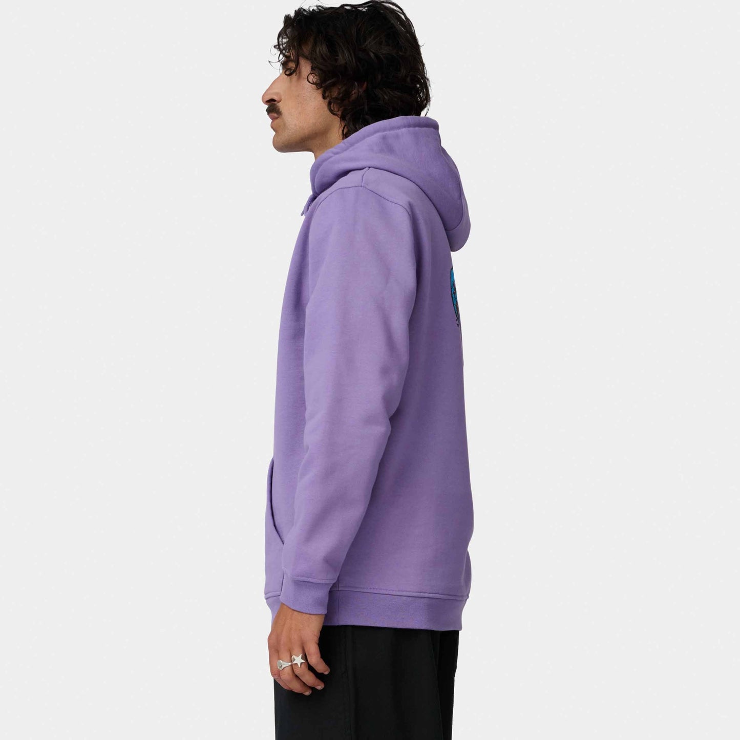 Santa Cruz Roskopp Screaming Five Hoodie Purple Haze