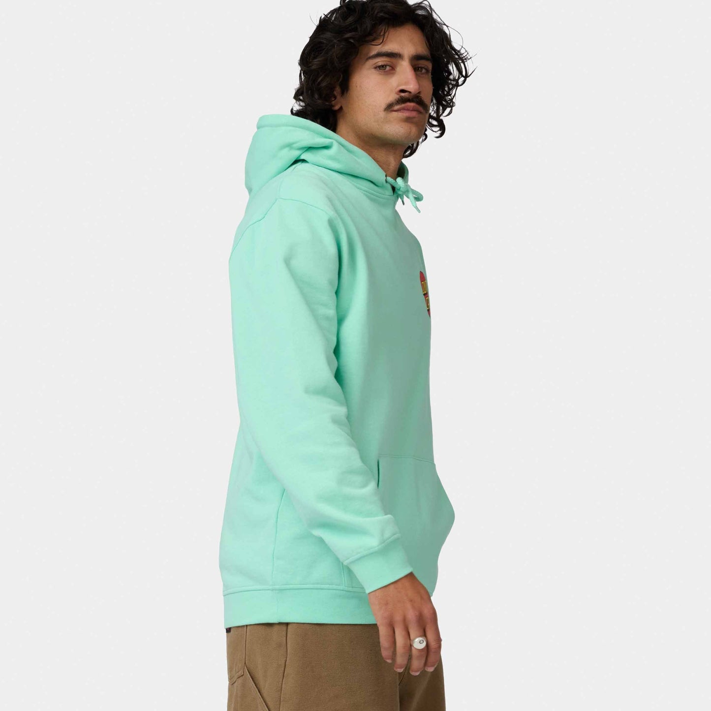 Santa Cruz Classic Dot Chest Hoodie Mint