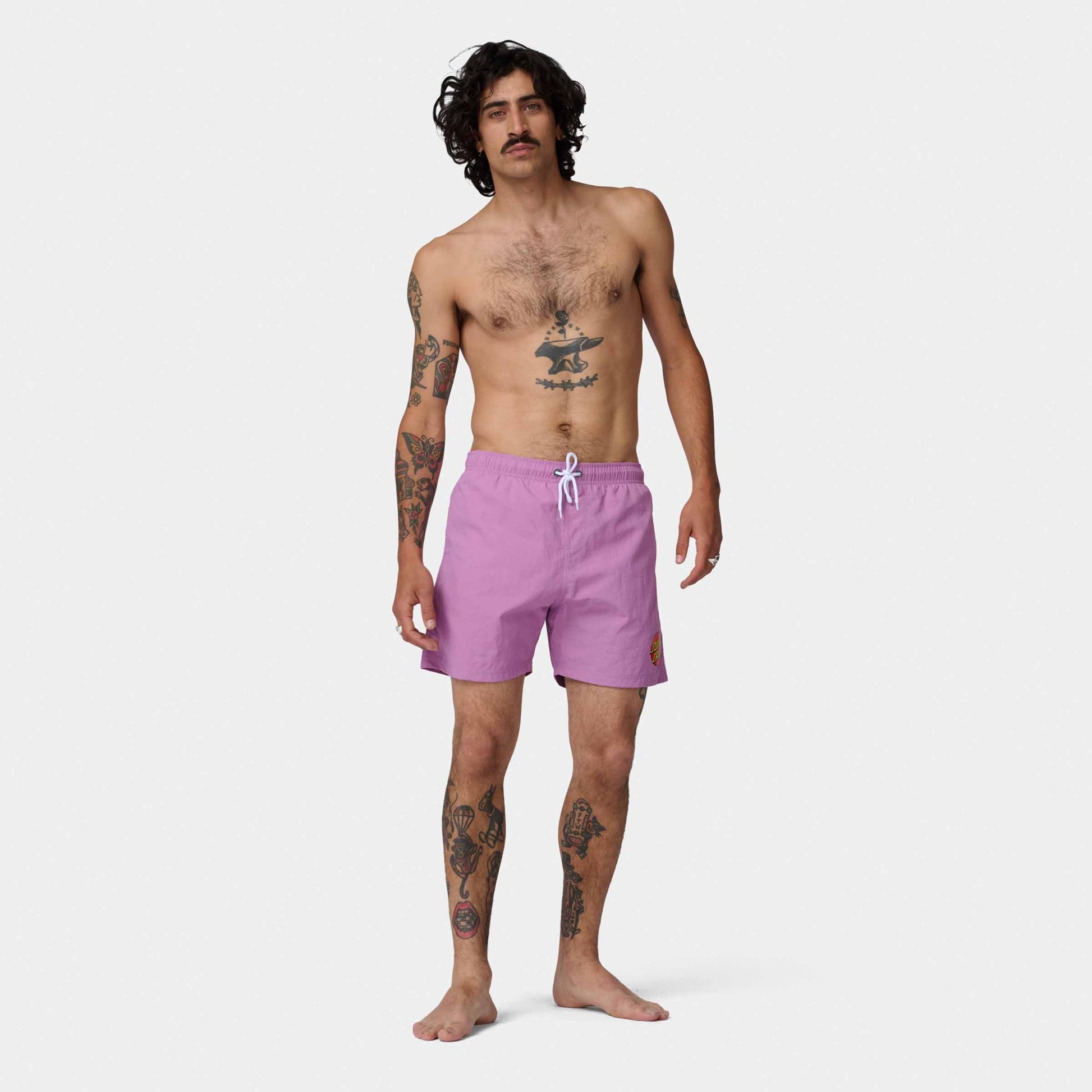 Santa Cruz Classic Dot Swimshort Purple Haze