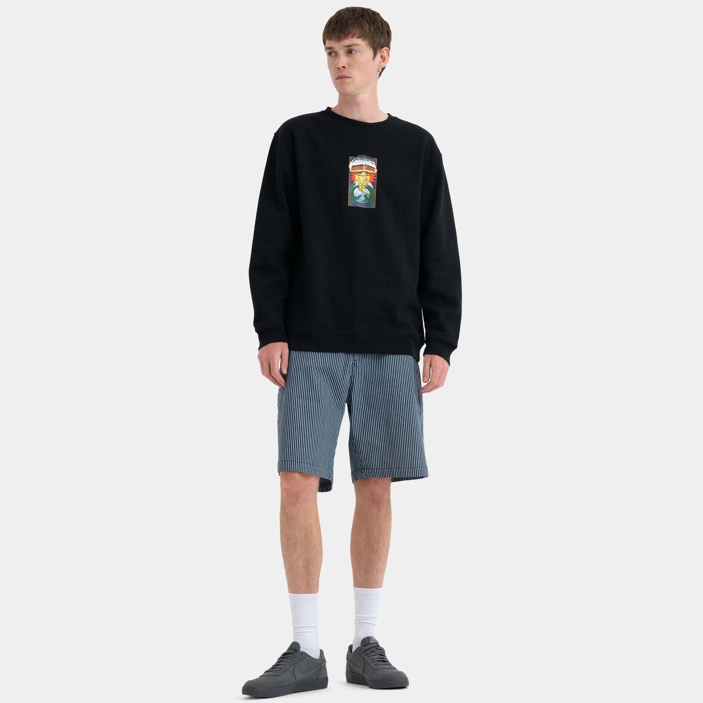 Santa Cruz Skateboards | Big Shorts Hickory Stripe