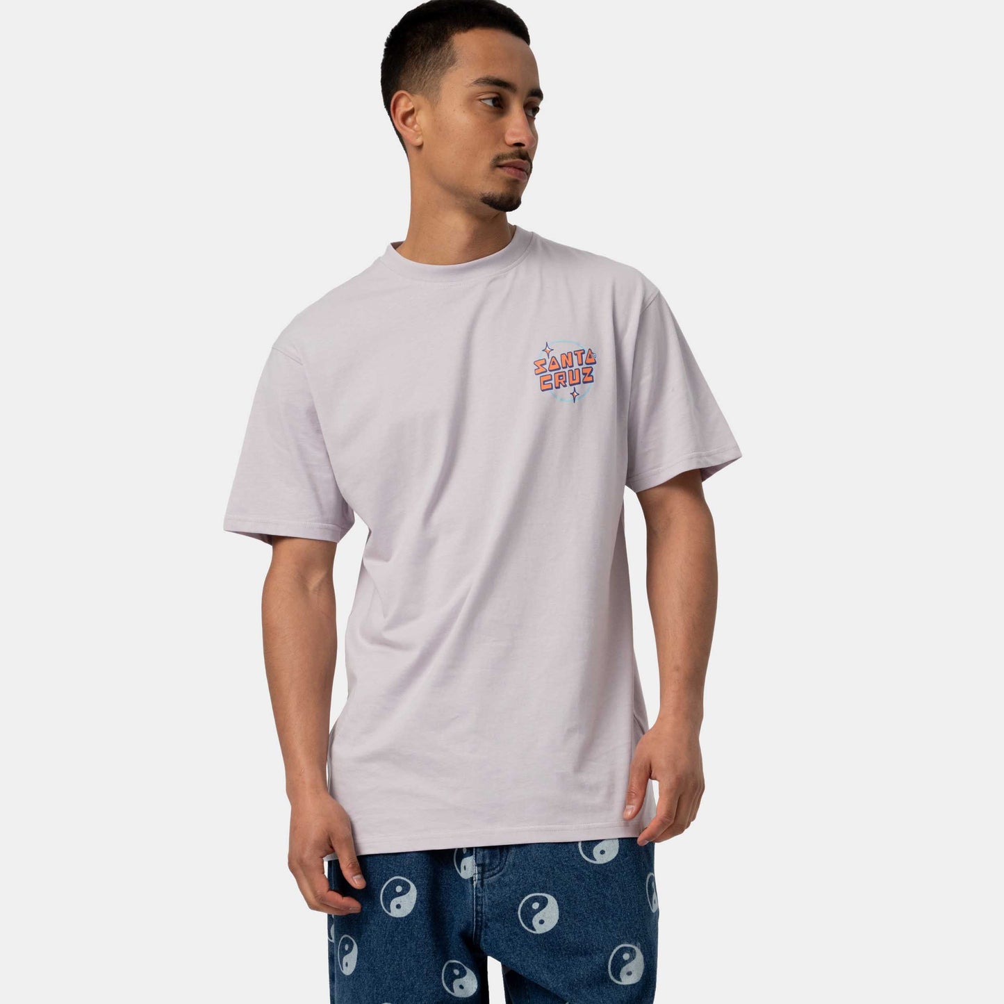 Santa Cruz Desert Tripper T Shirt Dusk