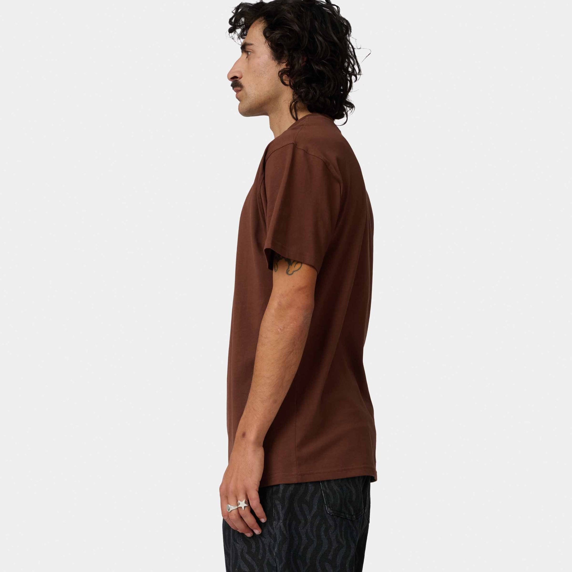 Santa Cruz Dressen Tribal Arch Front T Shirt Coffee