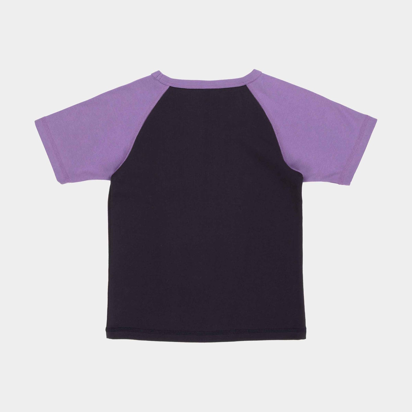 Santa Cruz Helix Raglan T Shirt Black Wash Purple Haze
