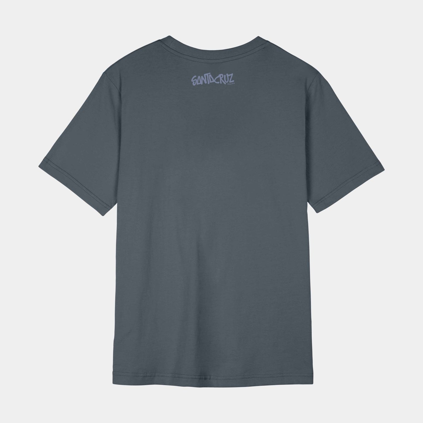 Santa Cruz Skateboards | Dizzy Daisy Front T Shirt Slate