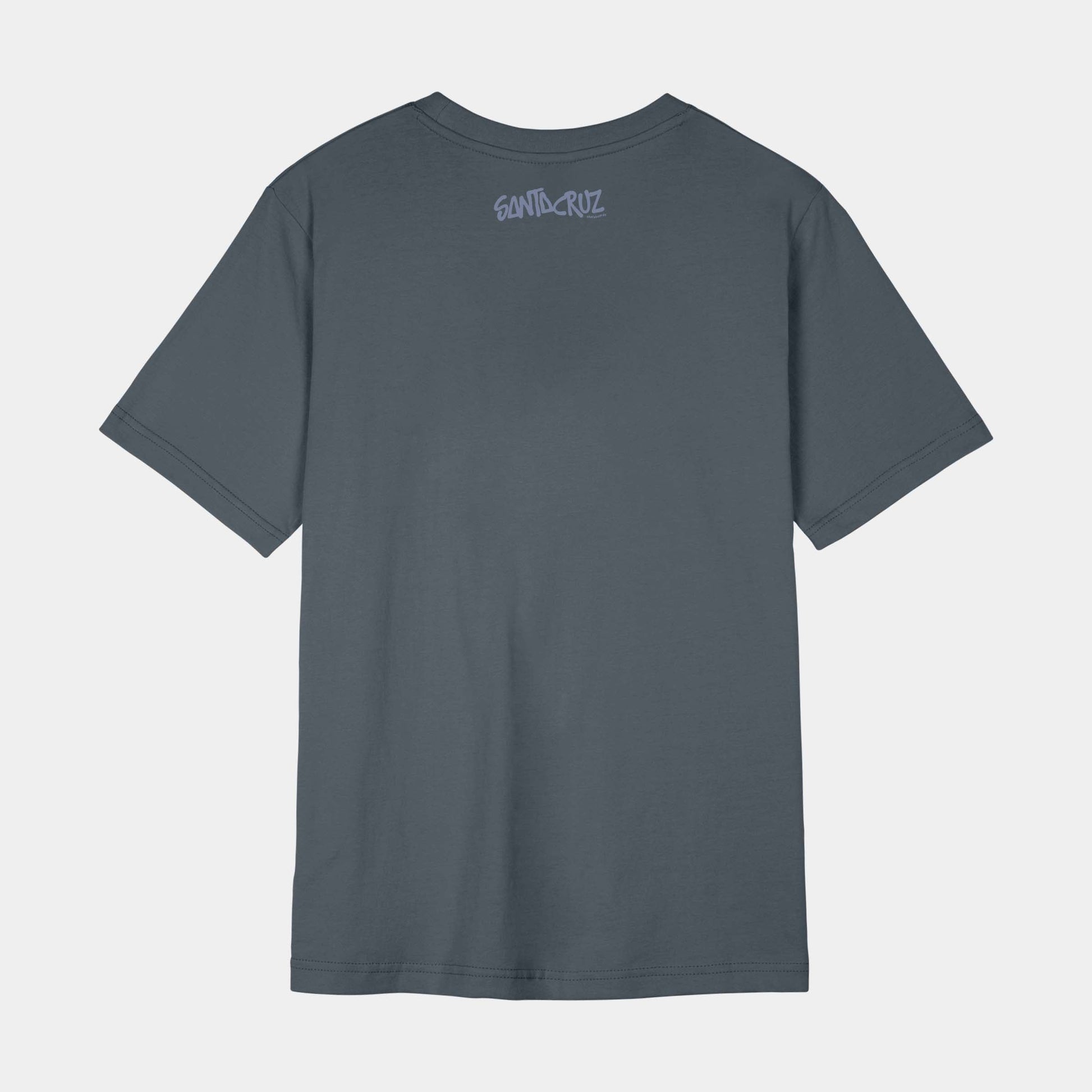 Santa Cruz Skateboards | Dizzy Daisy Front T Shirt Slate