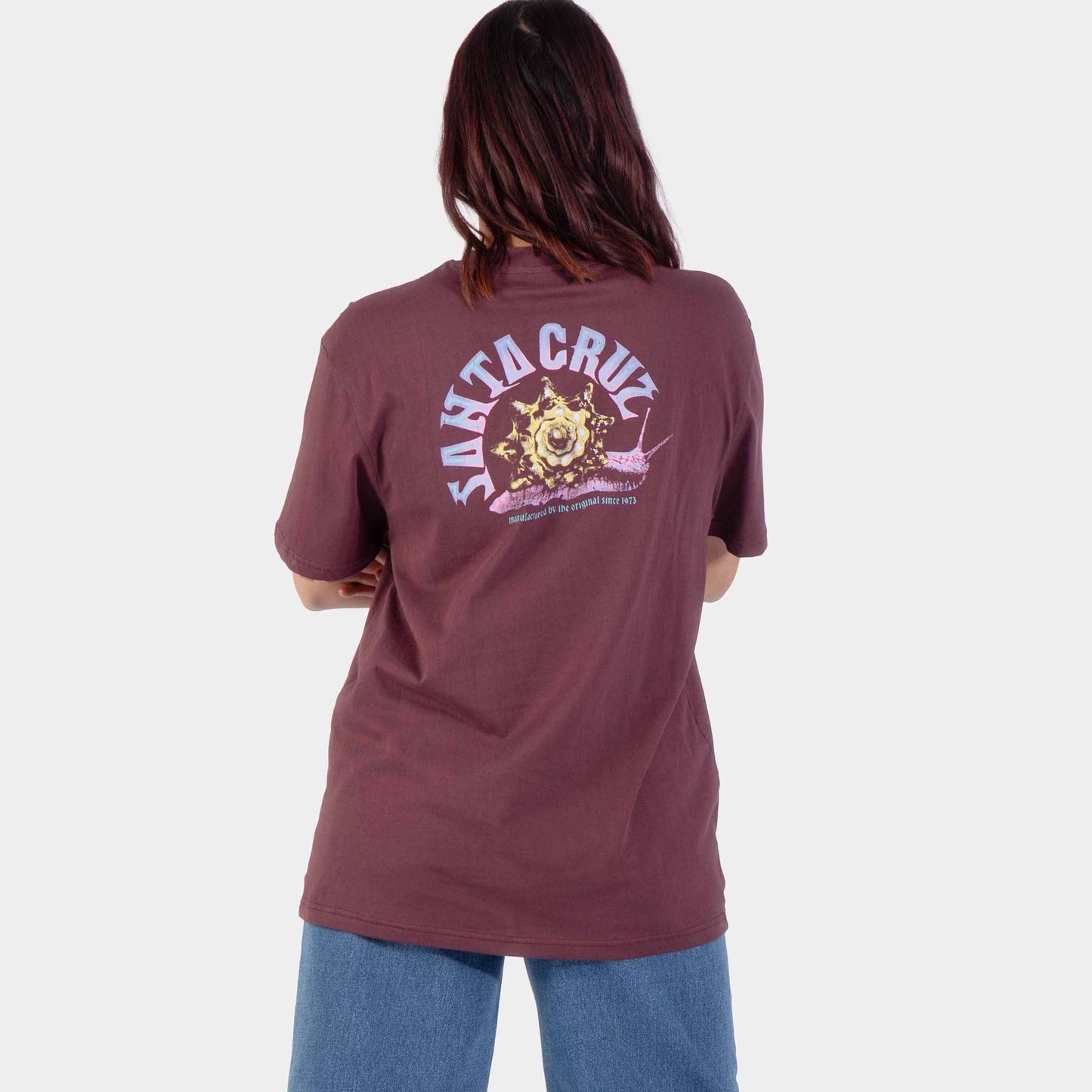 Santa Cruz | Star Snail T Shirt Cocoa Powder
