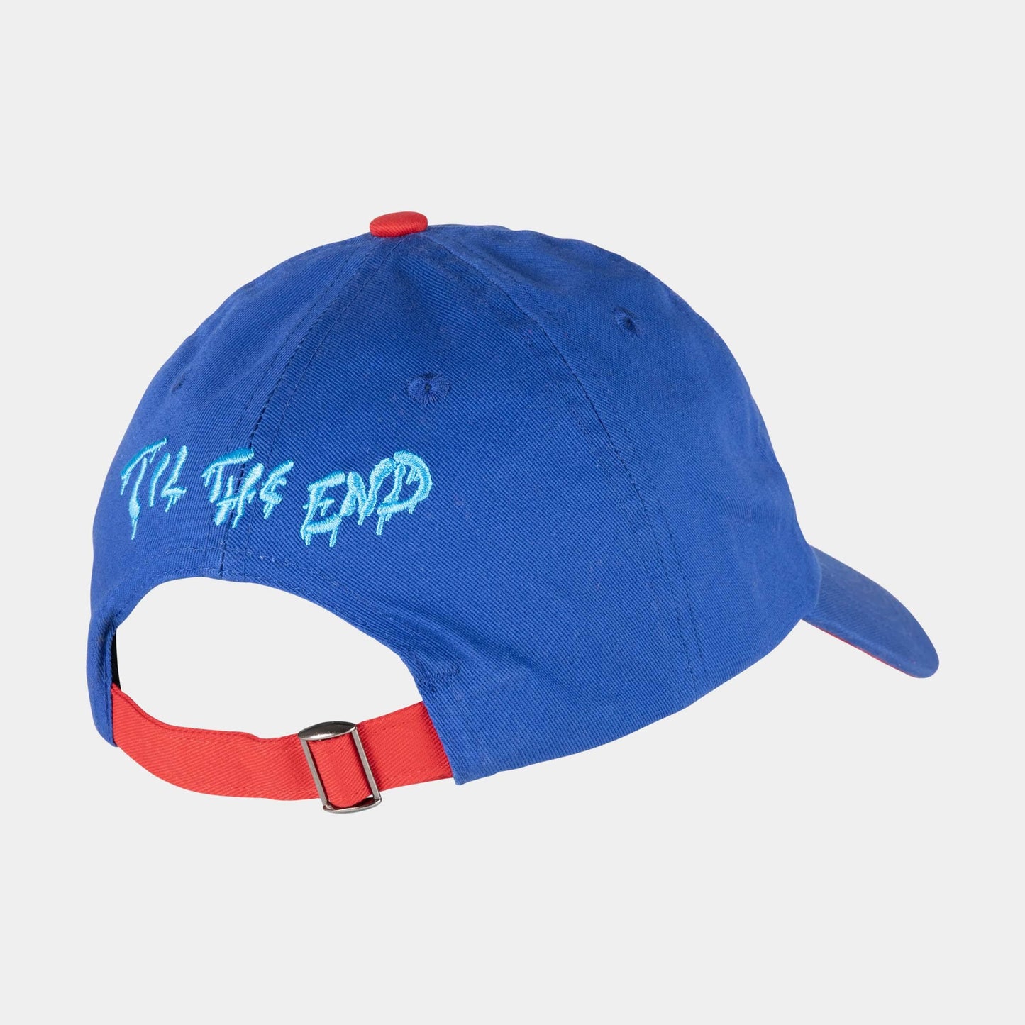 Santa Cruz | Youth Dot Guy Tte Cap Sapphire