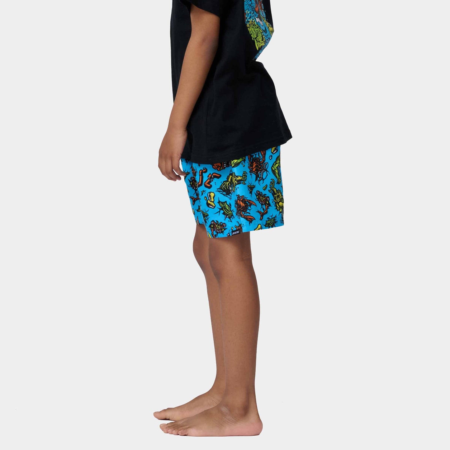 Santa Cruz Youth Roskopp Monster Swimshort Blue