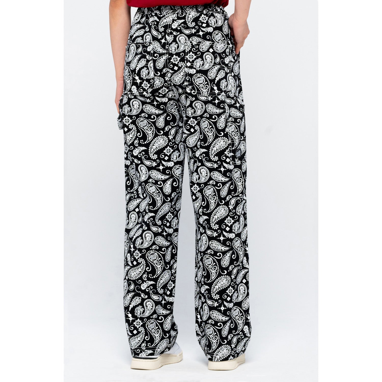 Santa Cruz Coombe Pants Screaming Paisley Print